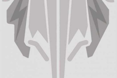 Blank-Supershot